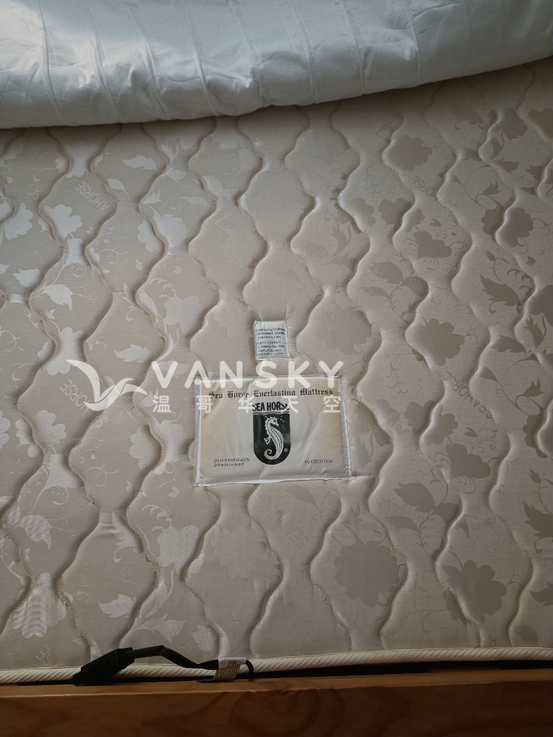 260108122948_sea horse1.jpg